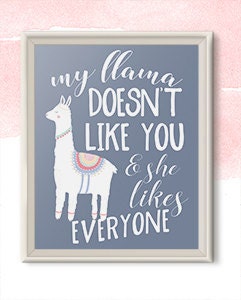 My Llama Doesnt Like You!