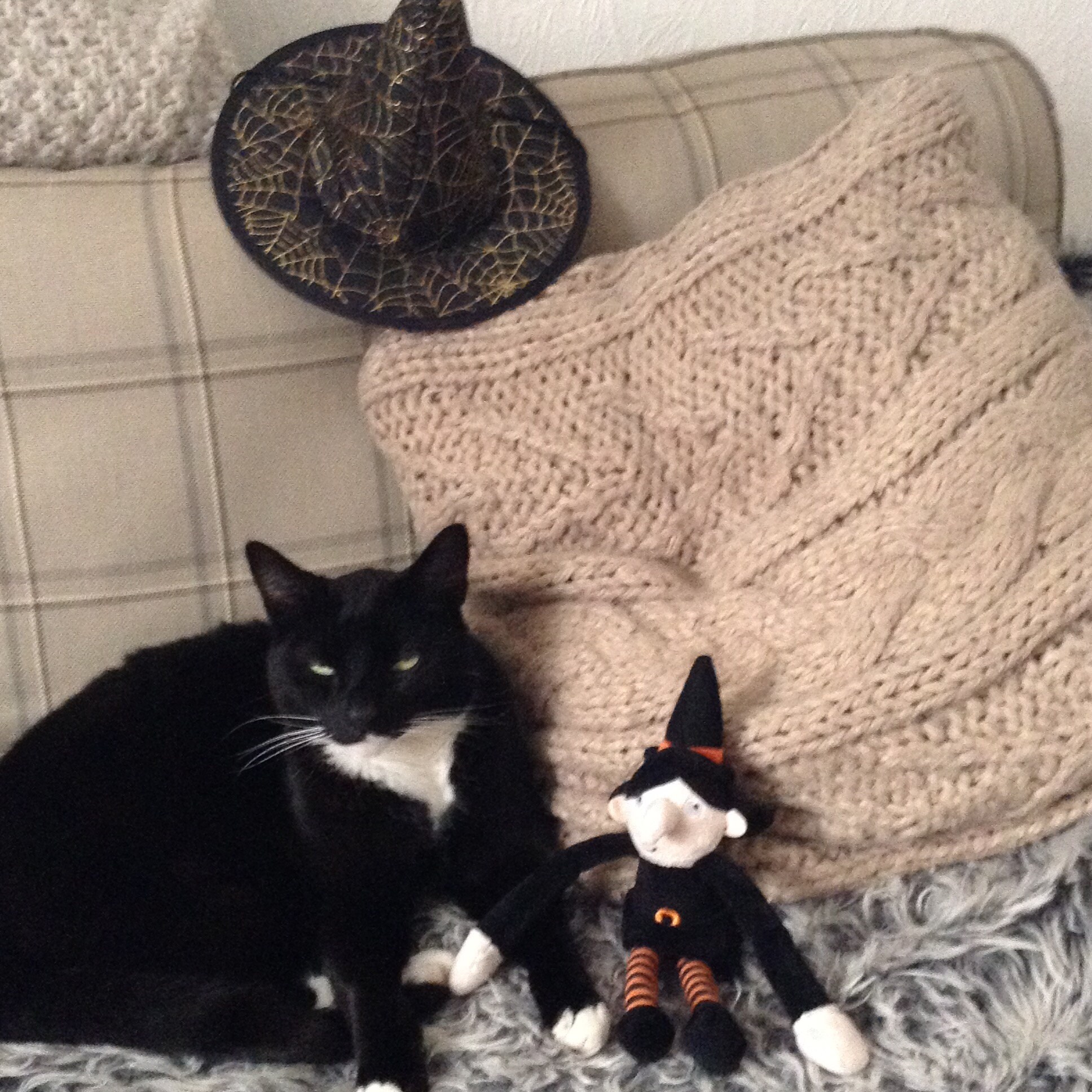 Crafts4Cats