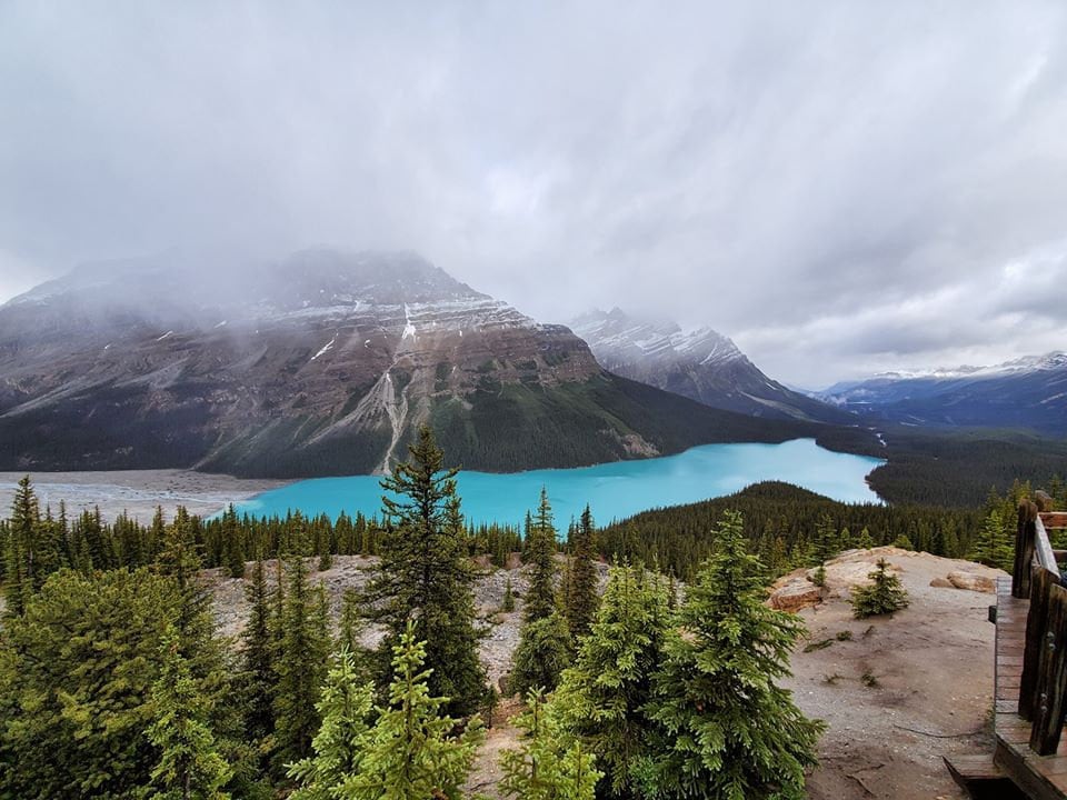 peyto lake