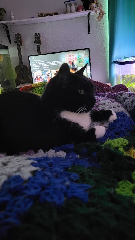 A black and white tuxedo cat is lounging on the bed. She is on top of a granny ripple crochet blanket.
