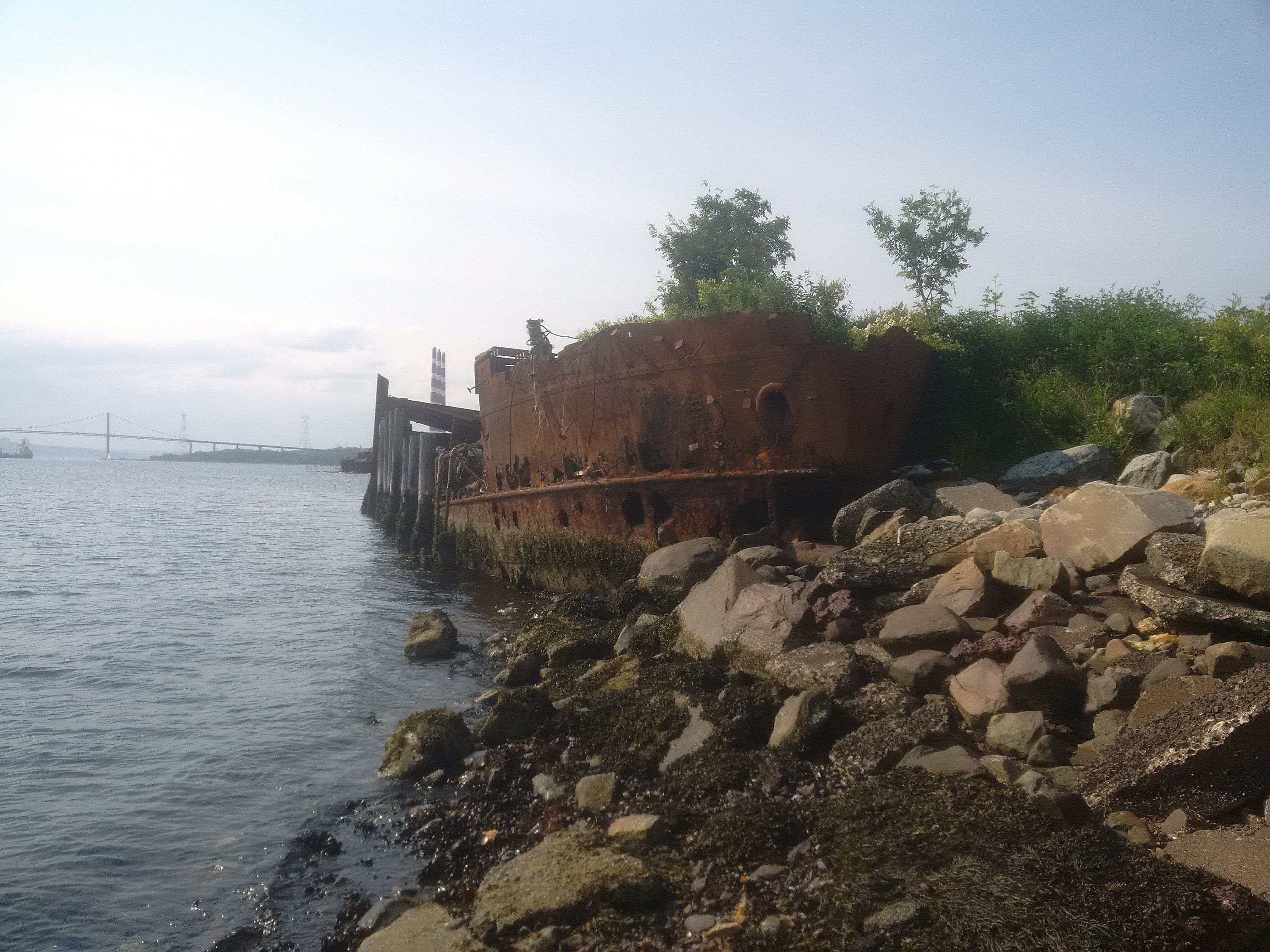 SS Daisy halifax harbour