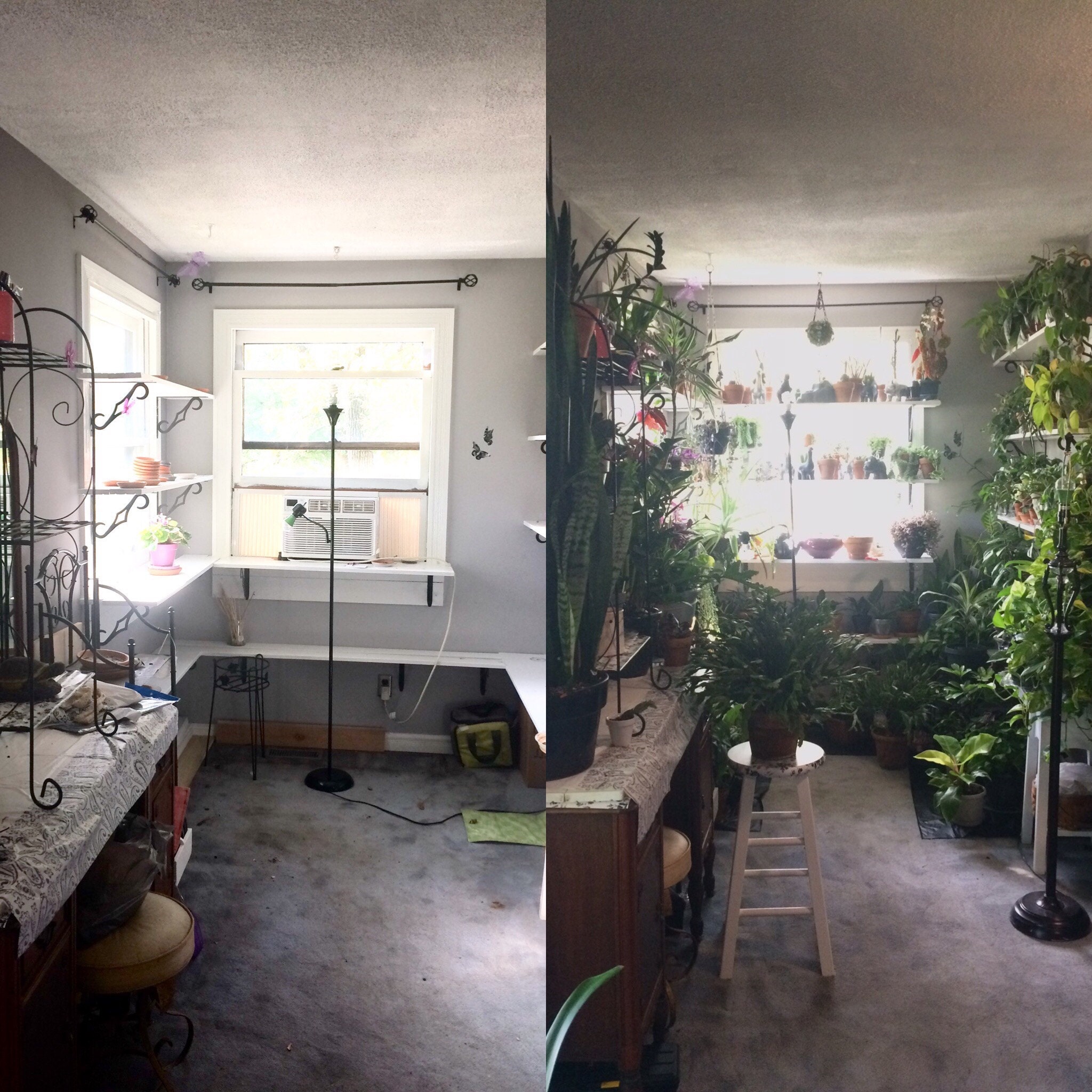 The transformation from summer to winter - its so barren and empty without the plants!