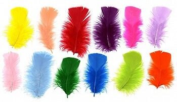 colorful feathers