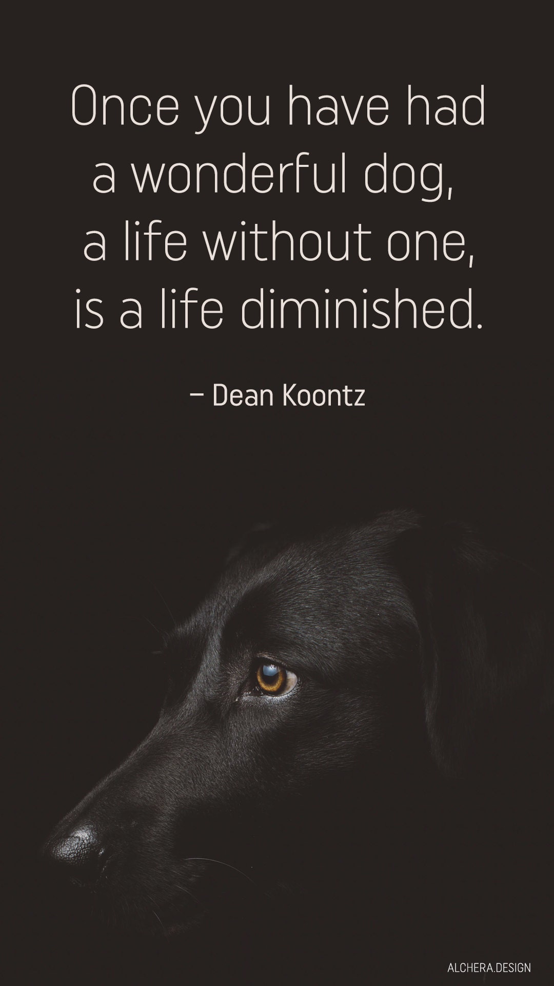 Once youve had a wonderful dog, a life without one is a life diminished. Quote by Dean Koontz