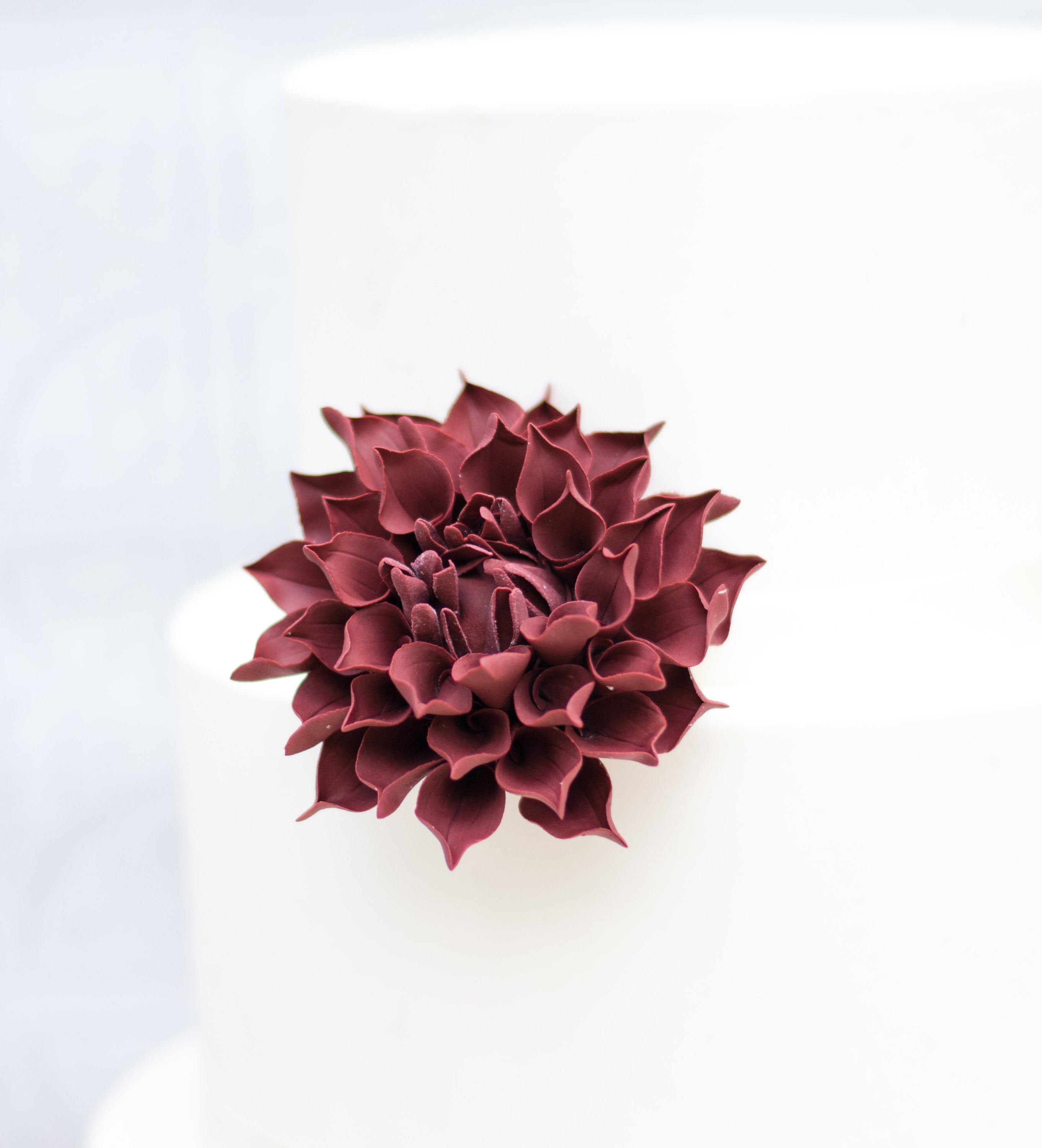 burgundy dahlia gumpaste sugar flower