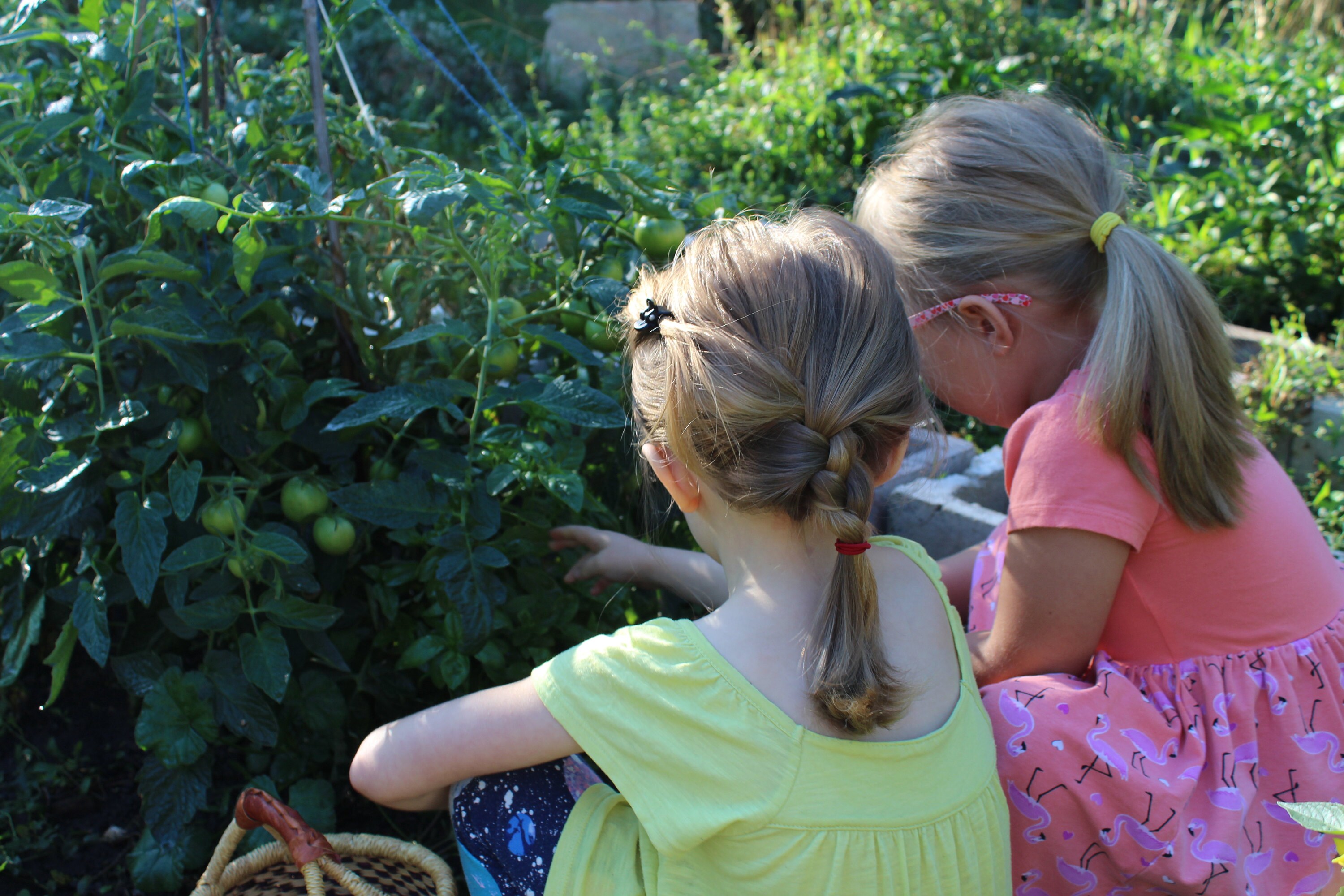 Kids gardening