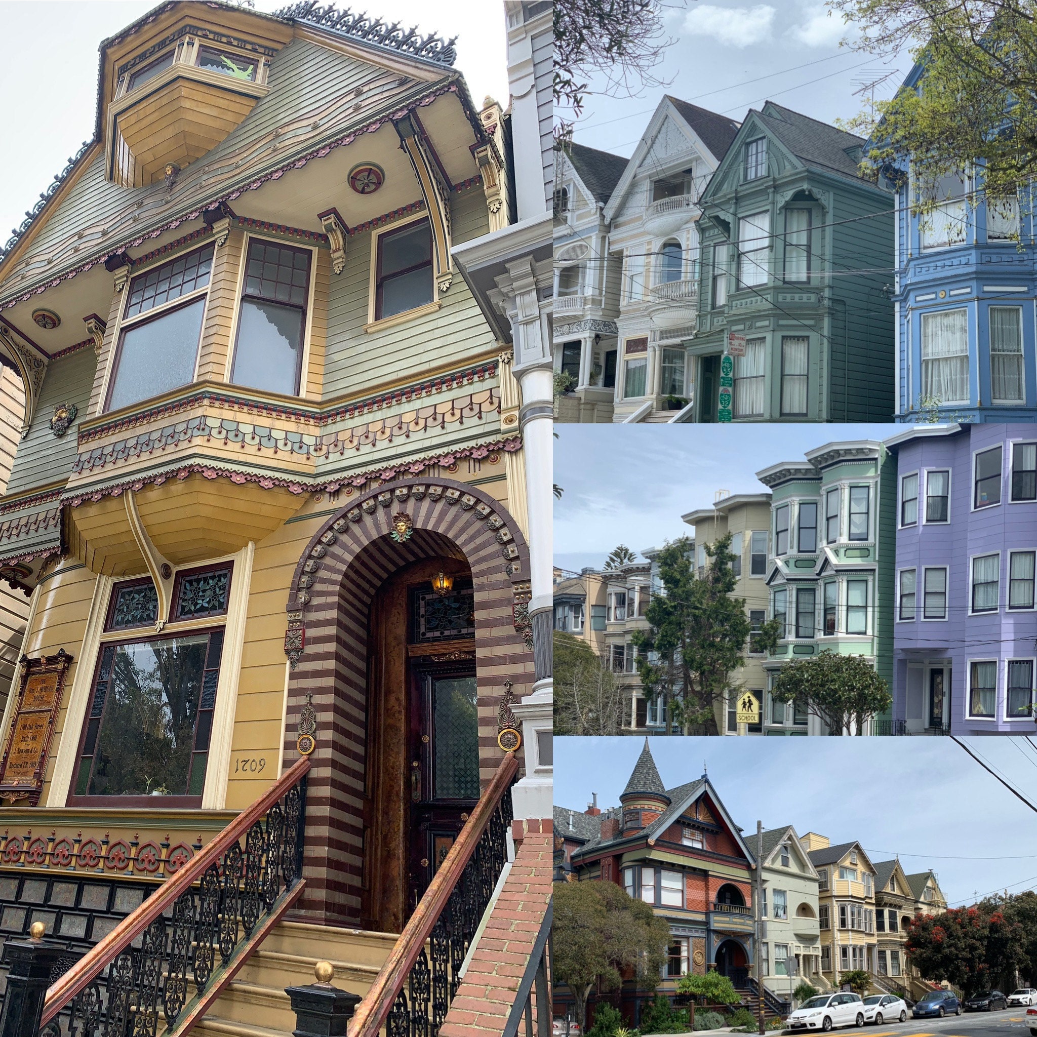 Painted Ladies