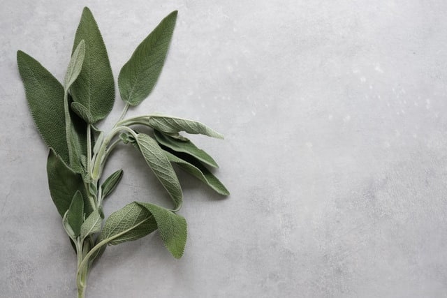 sage