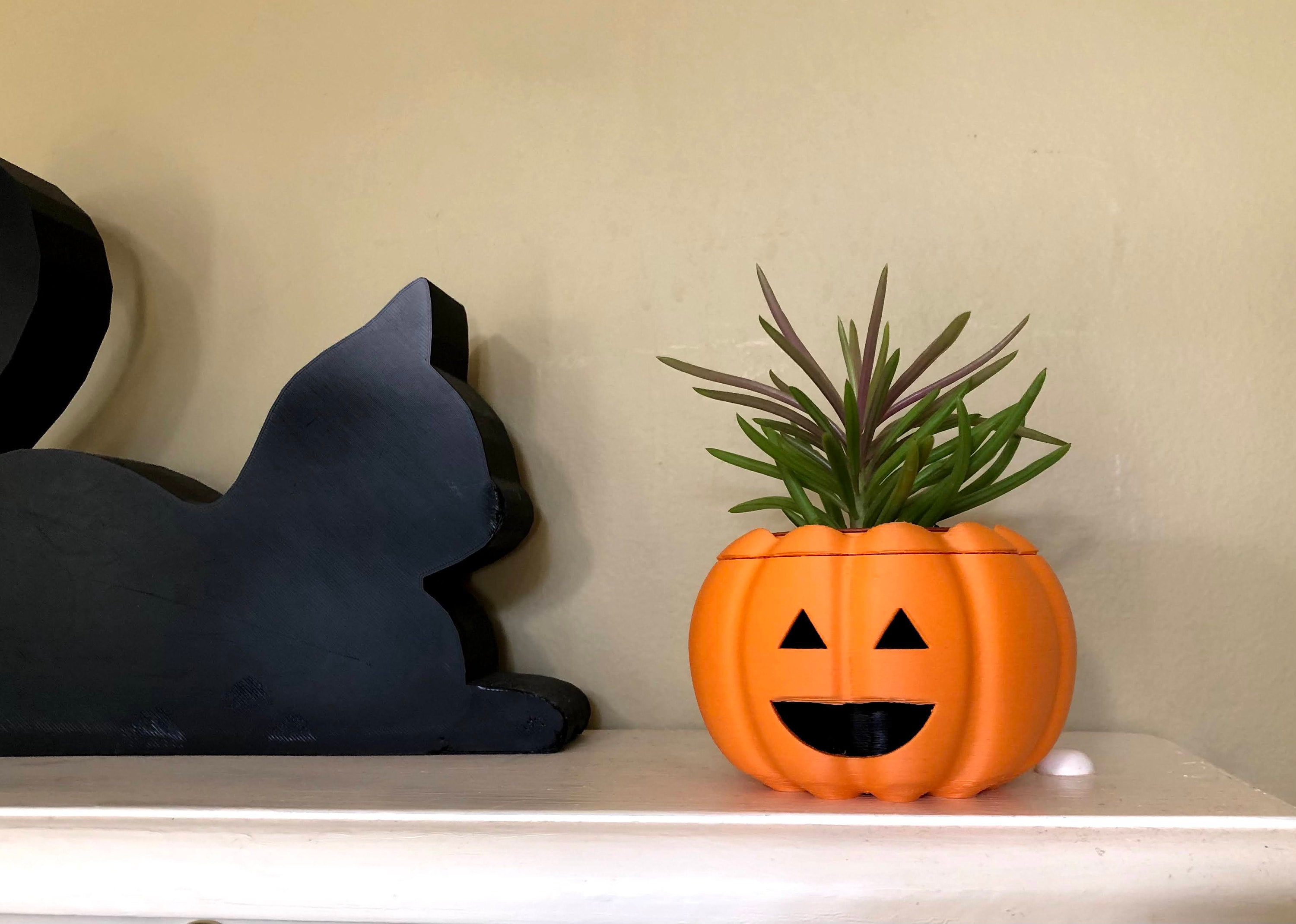 Pumpkin Planter