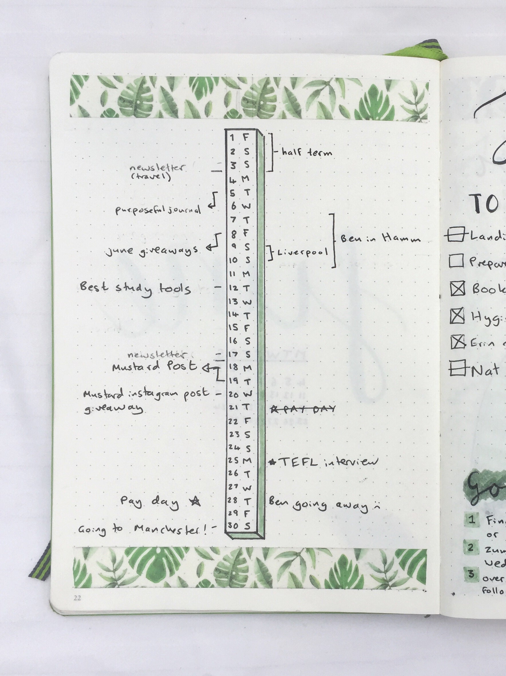 bullet journal monthly timeline with tropical washi tape border on the top and bottom of the page