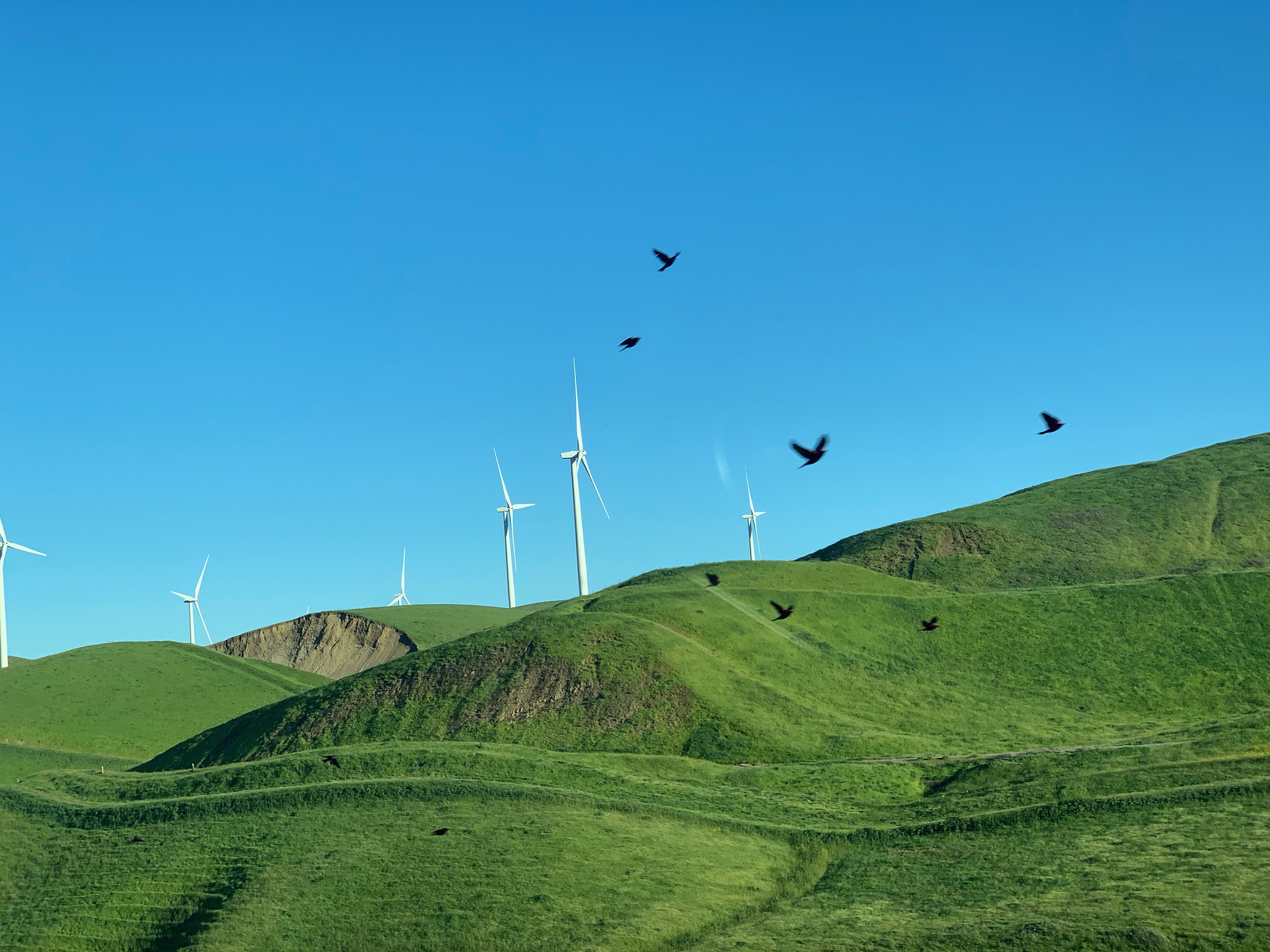 Windmills heading out of SF towards Yosemite
