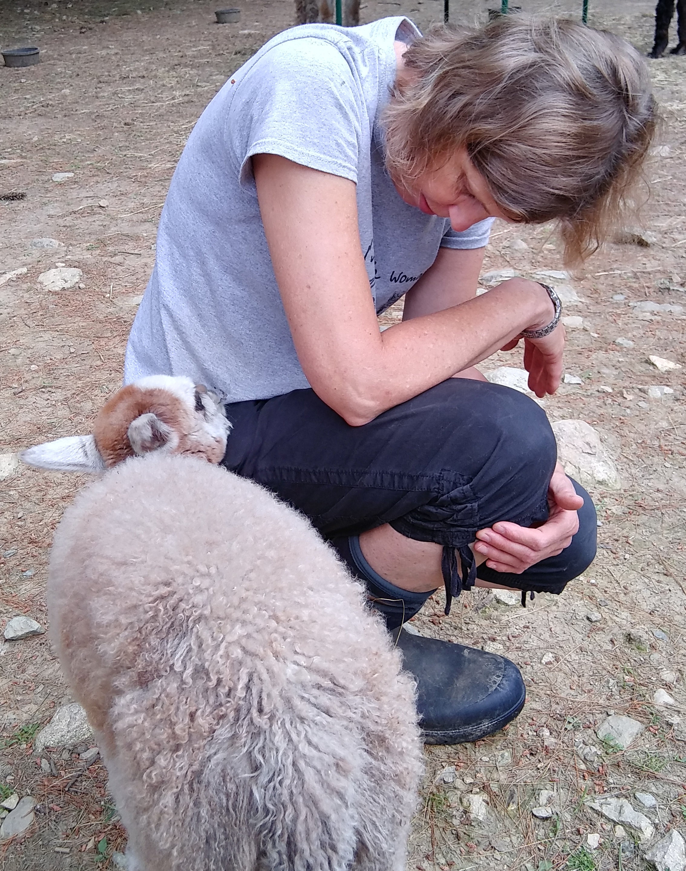 Karen Borgstein with baby alpaca Destiny