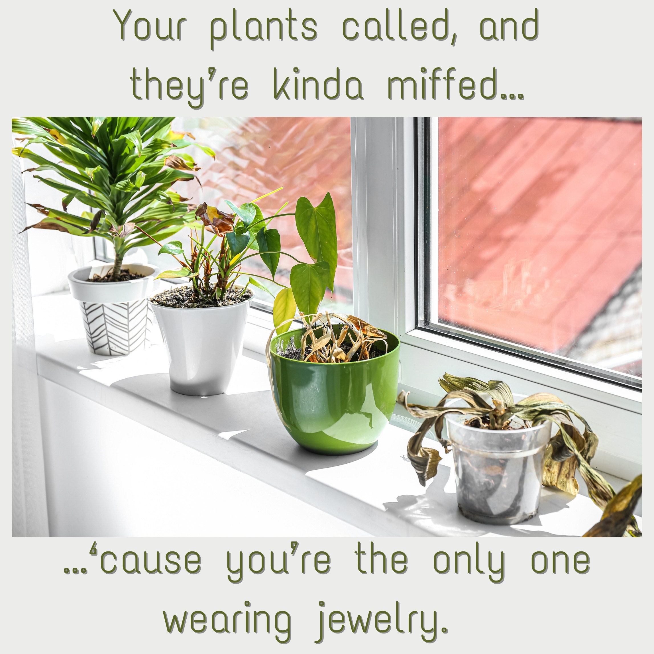 A lighthearted image of potted plants on a windowsill with the text, Your plants called, and they’re kinda miffed... ‘cause you’re the only one wearing jewelry. The plants are shown in various states of health, humorously suggesting they need plant jewelry for extra flair.