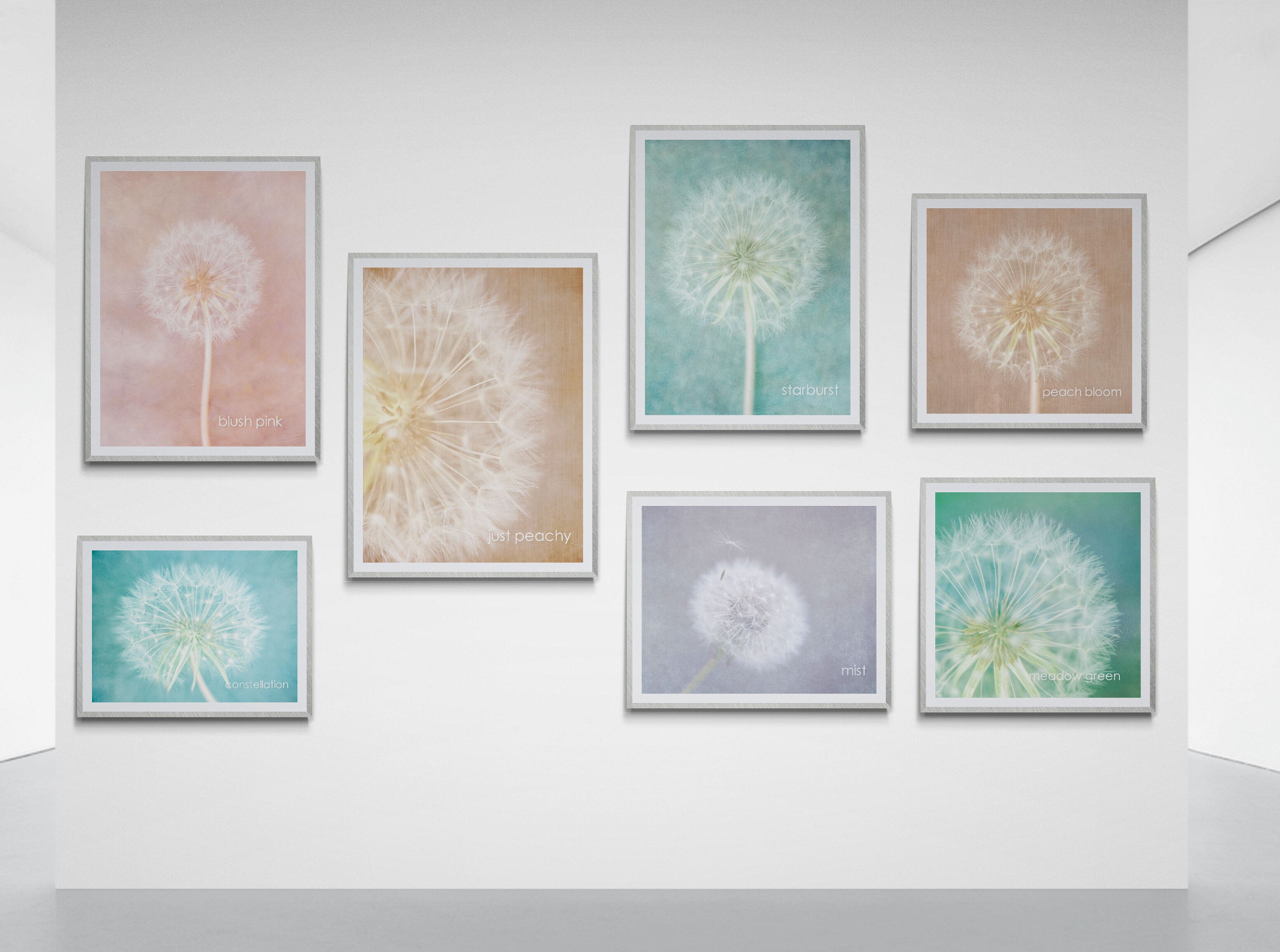 dandelion wall art-dandelion fine art photography-dandelion canvas- dandelion print by deborah pendell