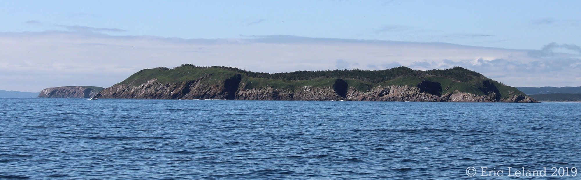 Gull Island, NL