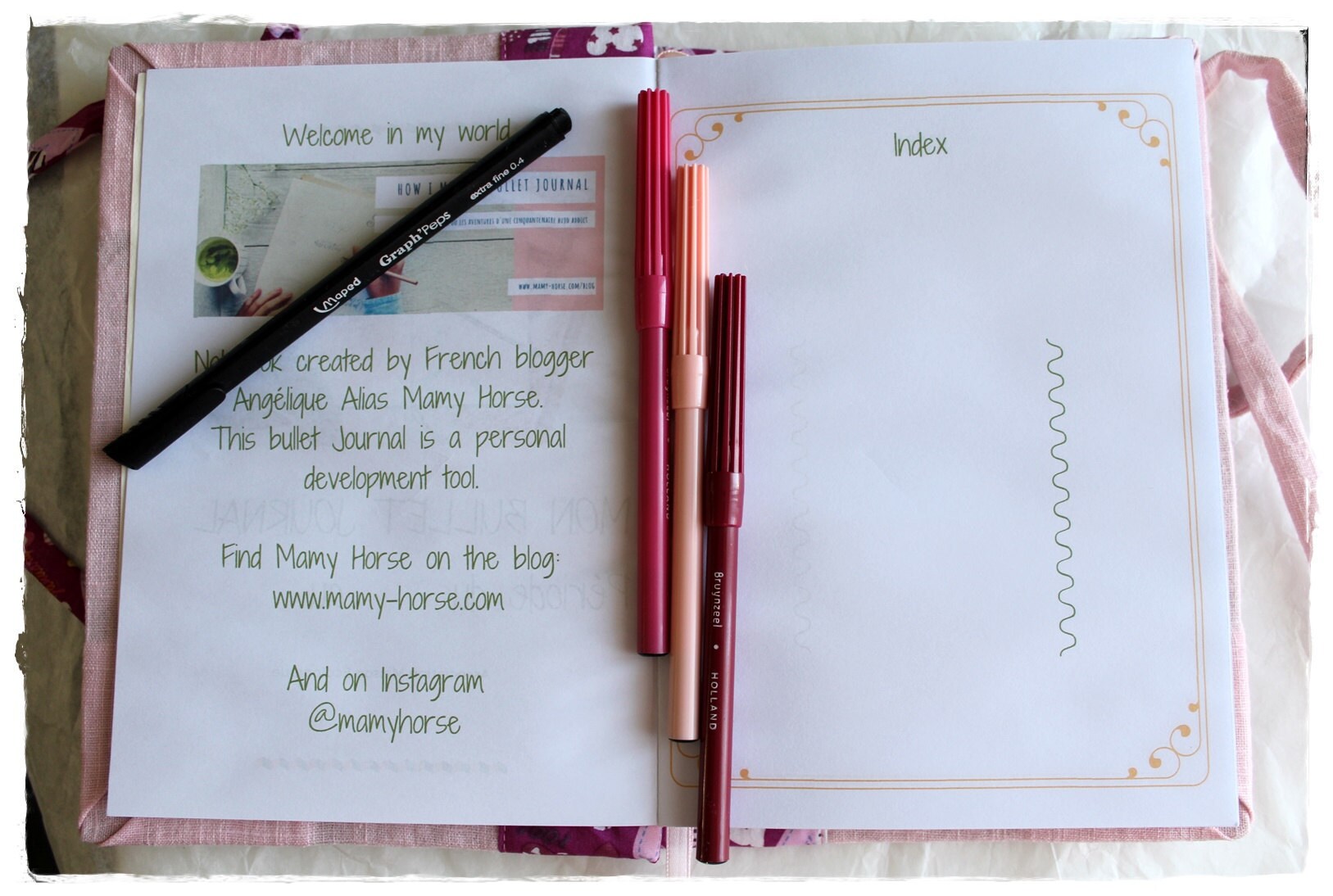 Journal créatif, bullet journal, carnet artisanal, journal intime, diary, DOTS pages