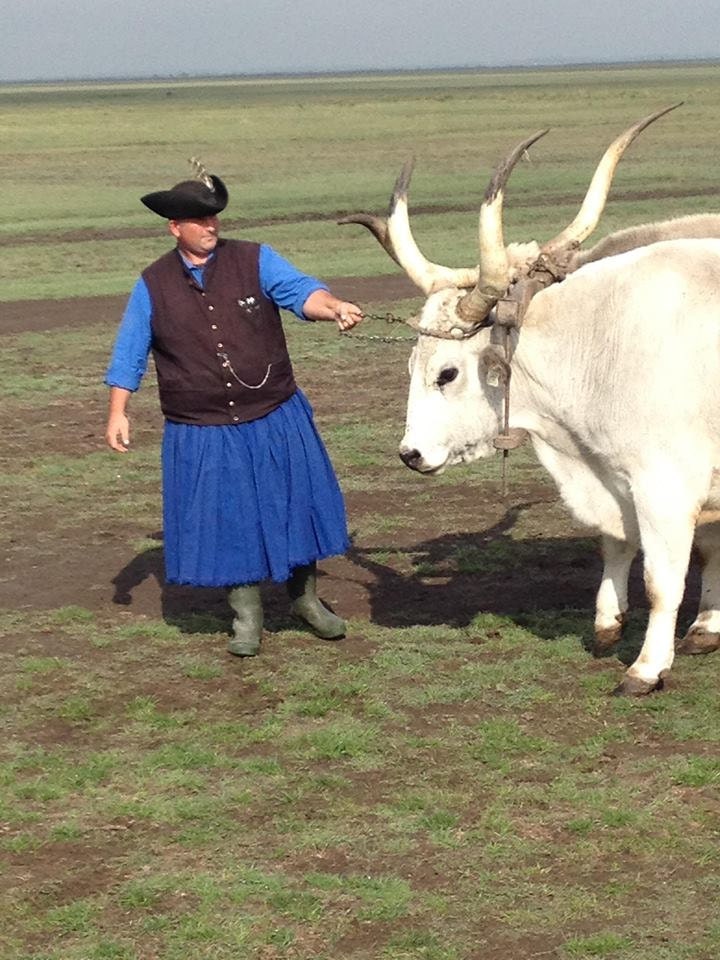 Traditional Hungarian Shepherds on the Hortobágy National Park