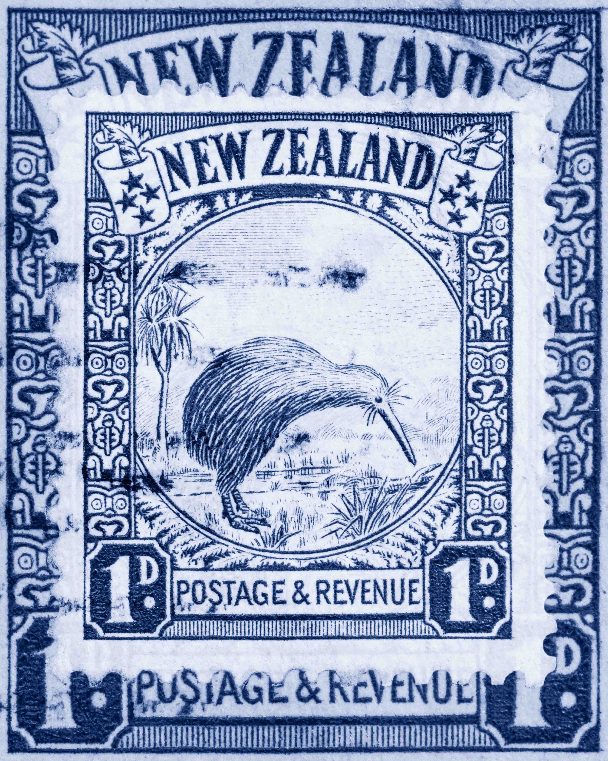 new zealand kiwi bird wall art created from a vintage new zealand stamp as featured at The Other Art Fair by deborah pendell
