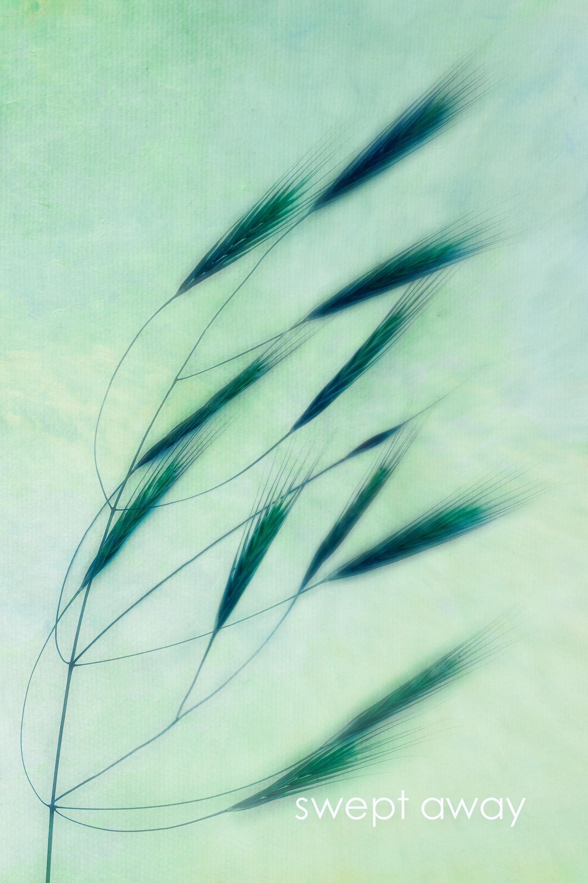 green blue floral botanical fine art at the affordable art fair christmas market by deborah pendell with morgan davies art