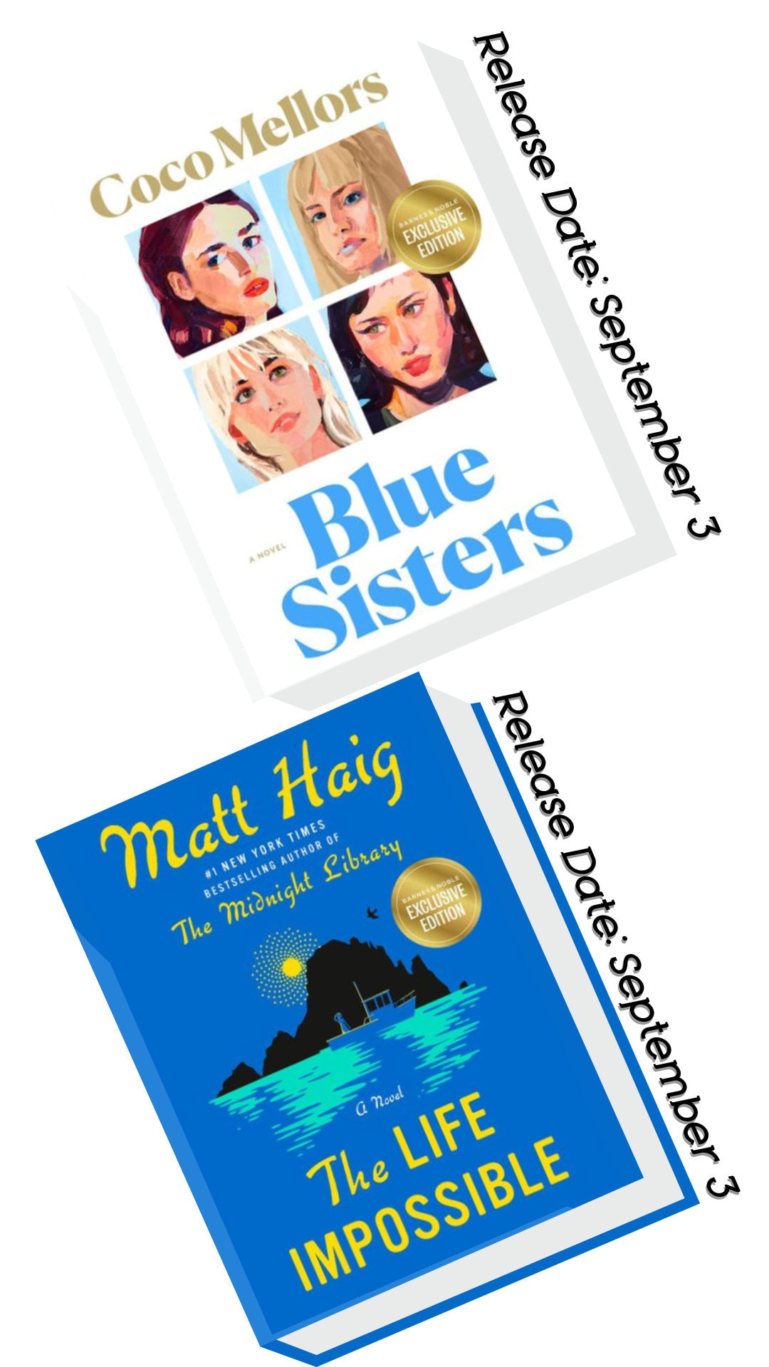 Blue Sisters by Coco Mellors, The Life Impossible by Matt Haig
