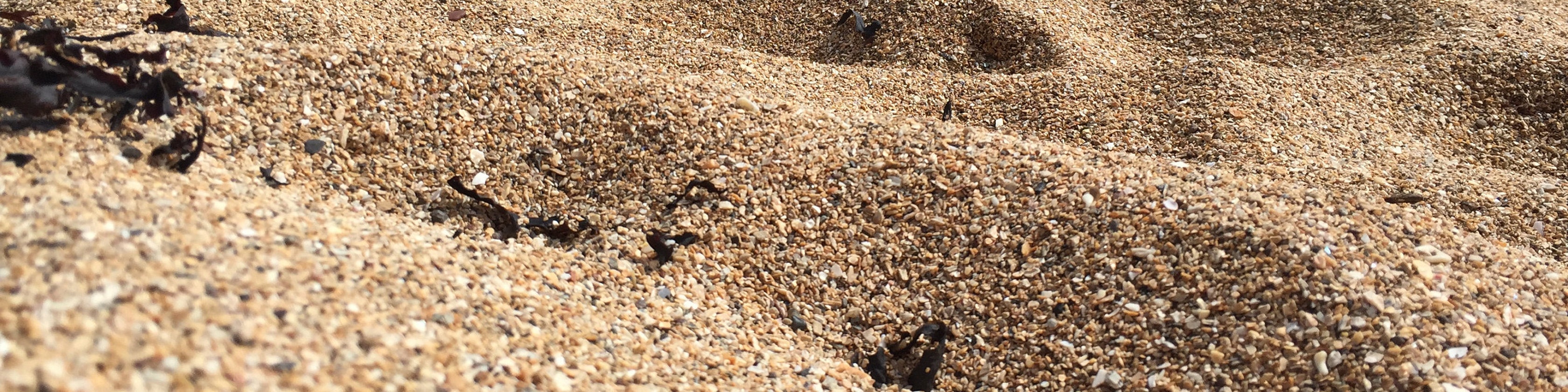 fifeseaglass Etsy UK