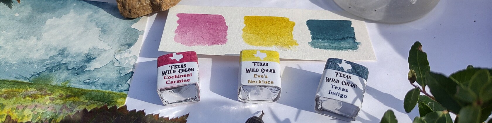 TexasWildColor - Etsy
