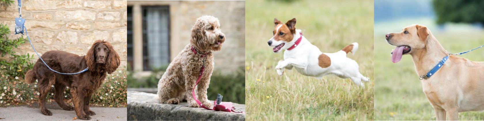 kumoya dog poop bags