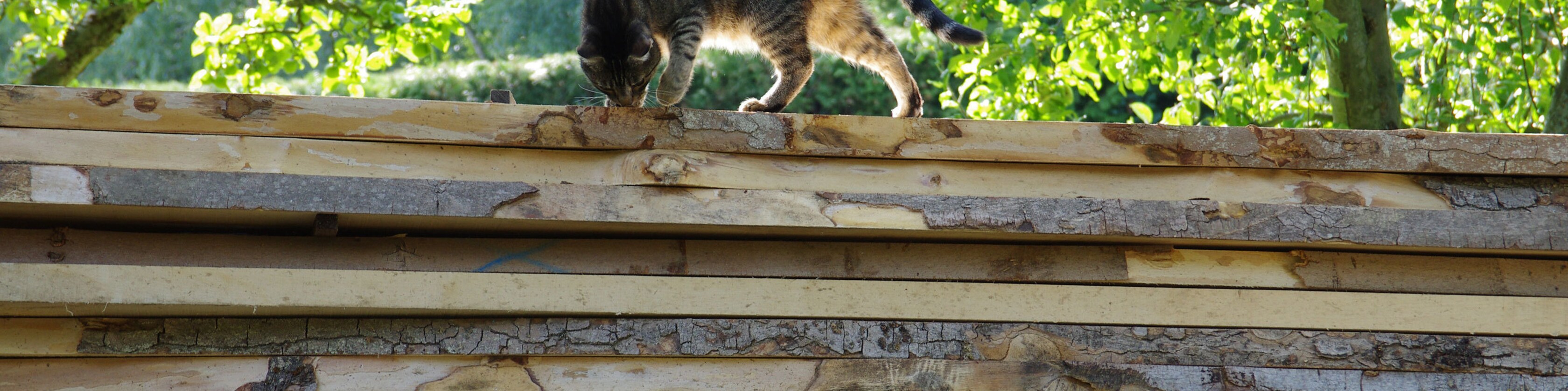 Kleinmöbel & Wohnaccessoires aus Massivholz von orangewoodDE