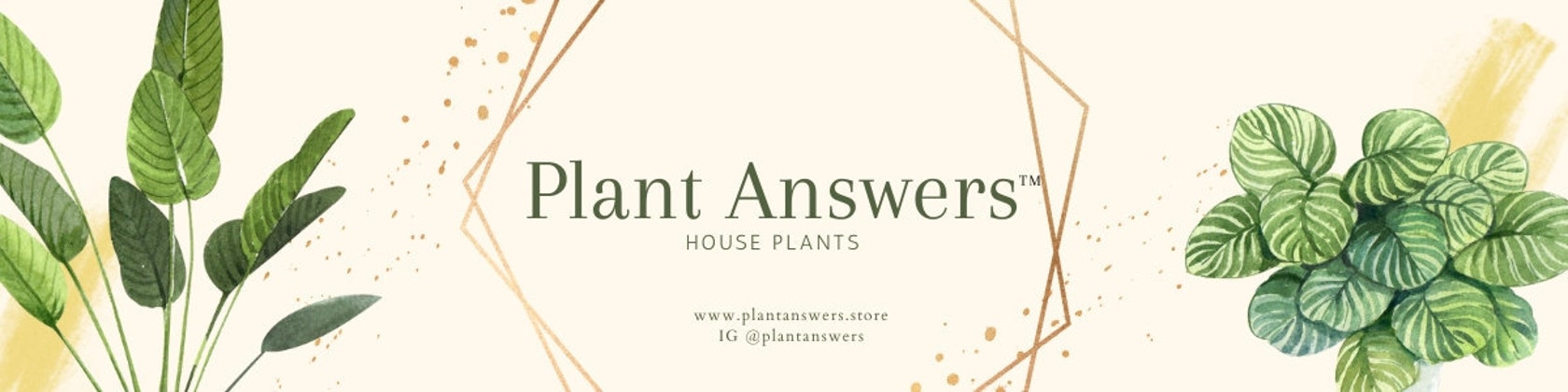 PlantAnswers -  France