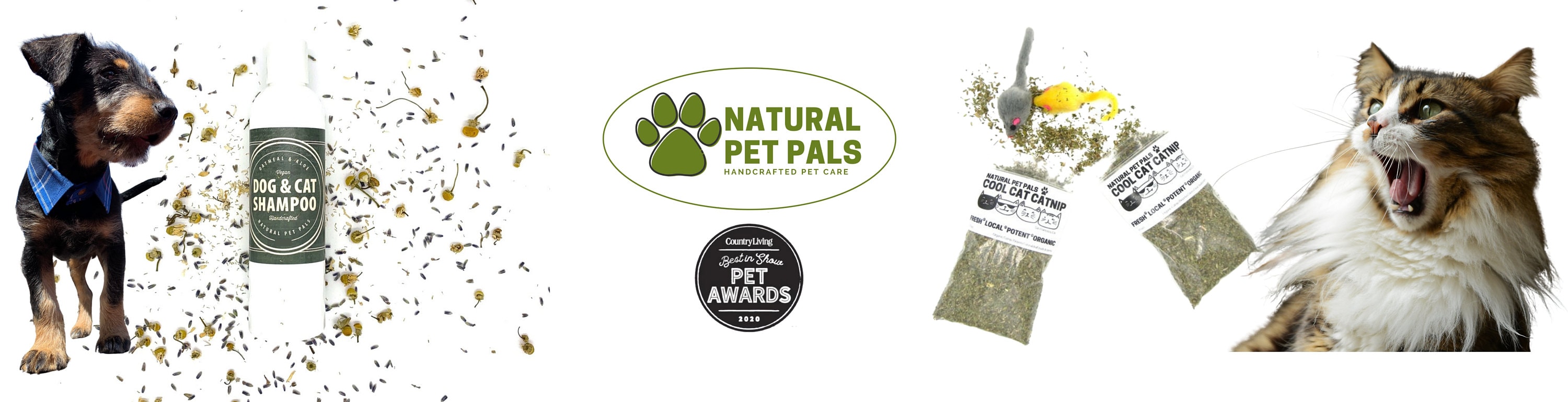 Fresh pals pets sale