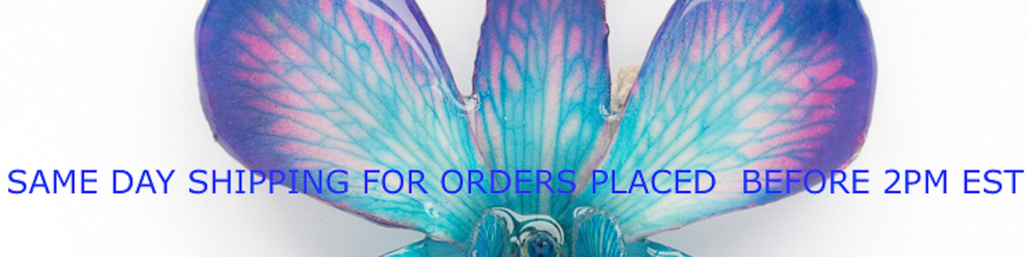 Hanami Etsy Hanami Etsy