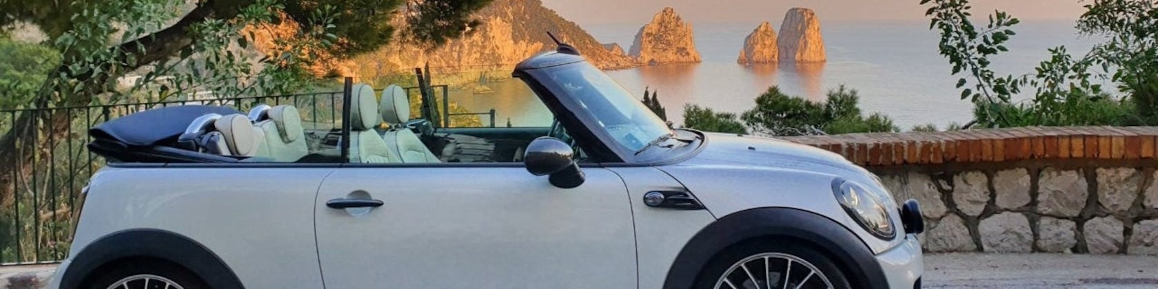 Mini Clubman F54 Türgriff Abdeckungen hinten 2 Stück -  Schweiz