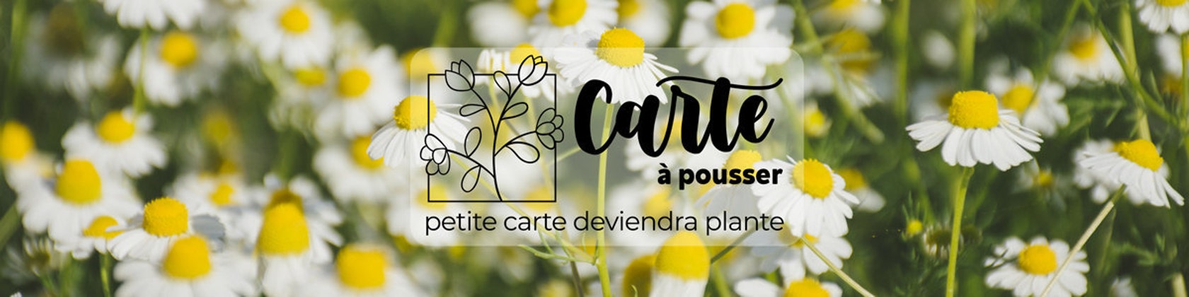 🌱Carte à planter Invitation Jungle - Carte à Pousser