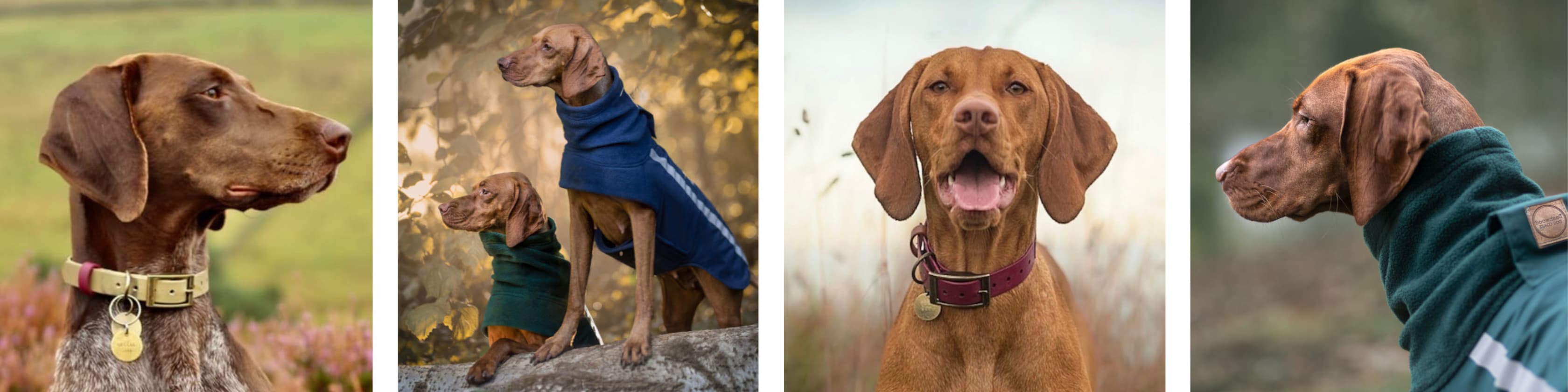 DashwoodDogCoats Etsy UK