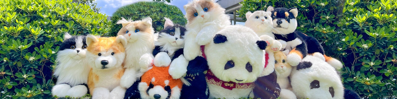 ジューンブライド、シルクハットタイプ、わんちゃん猫ちゃん用 （Pet  