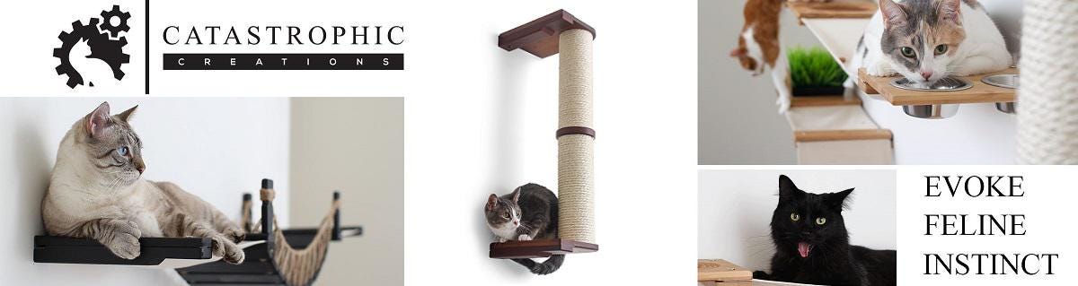 Catastrophe cat furniture hotsell