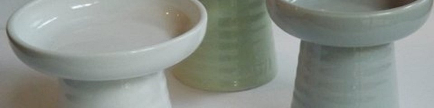 Classy cat dishes online