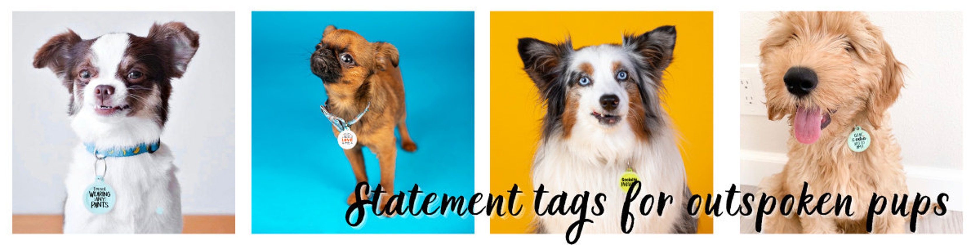 funny dog id tags funny dog id tags