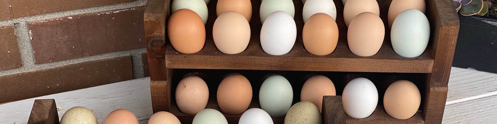 Egg Holders – TriPeak Goods