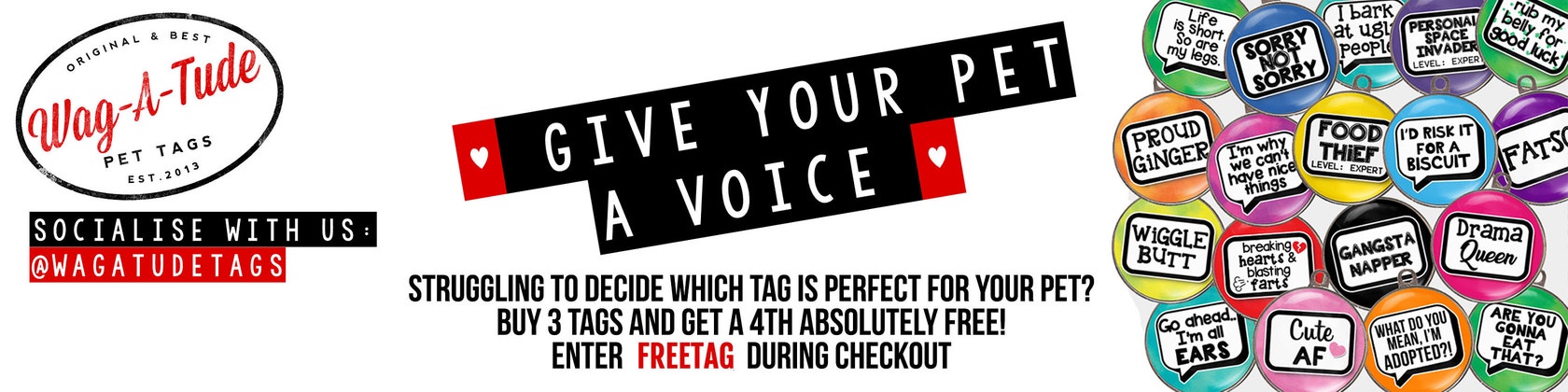 wag tags