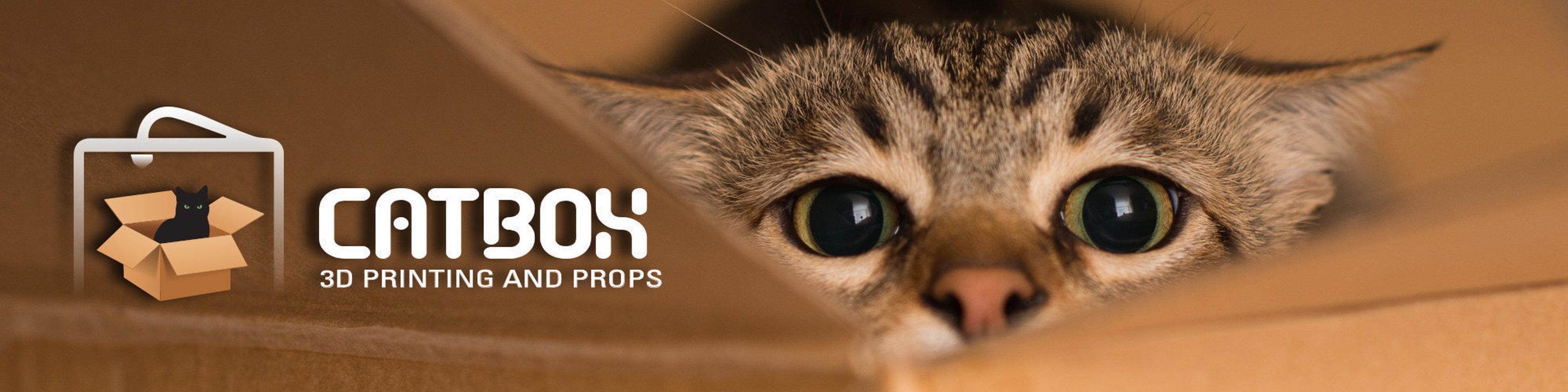 CatBOX LLC 3D Printing & Props by Catbox3D on Etsy