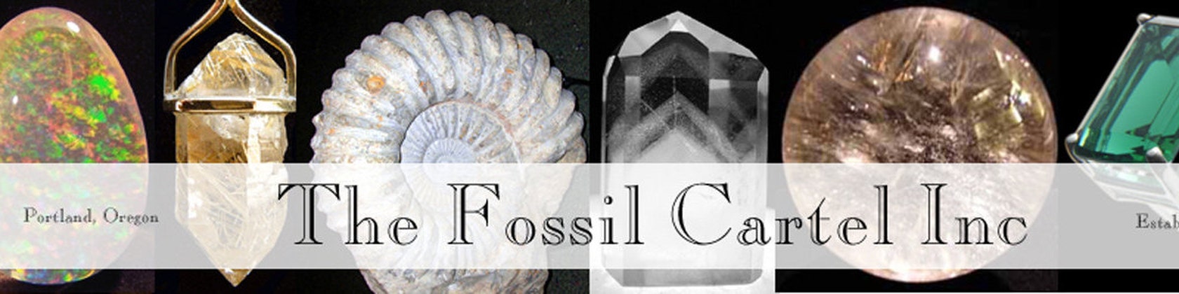 Silver Polishing Cloth - The Fossil Cartel