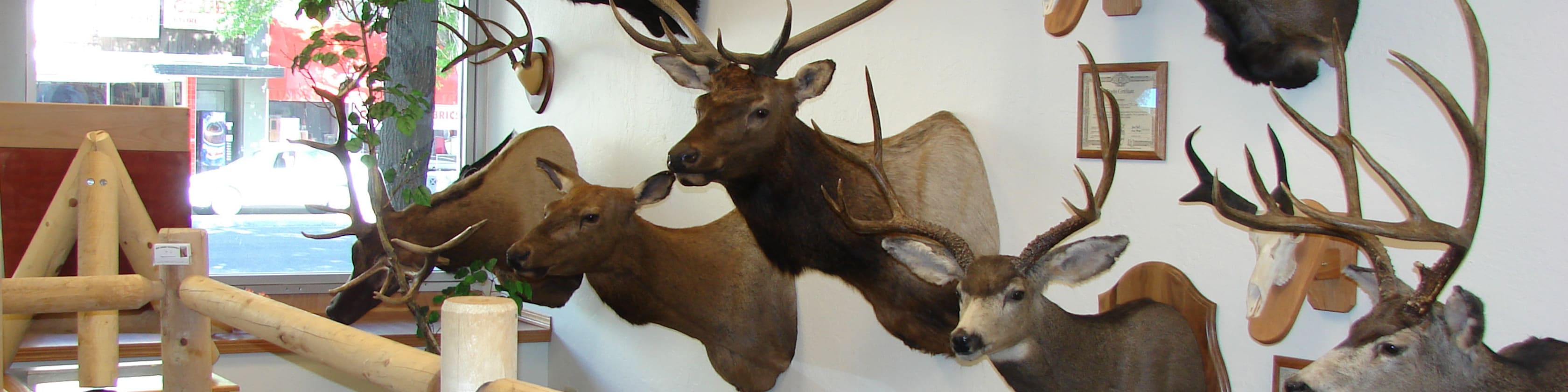 bigcreektaxidermy Etsy