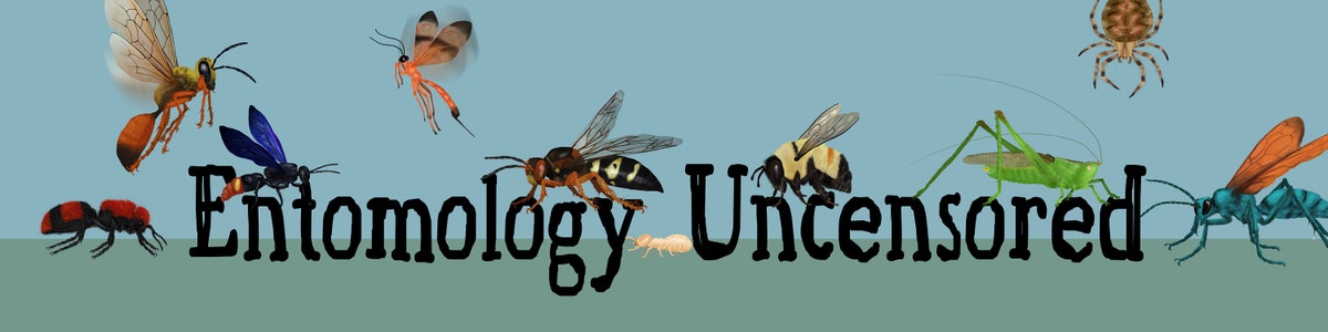 EntomologyUncensored - Etsy