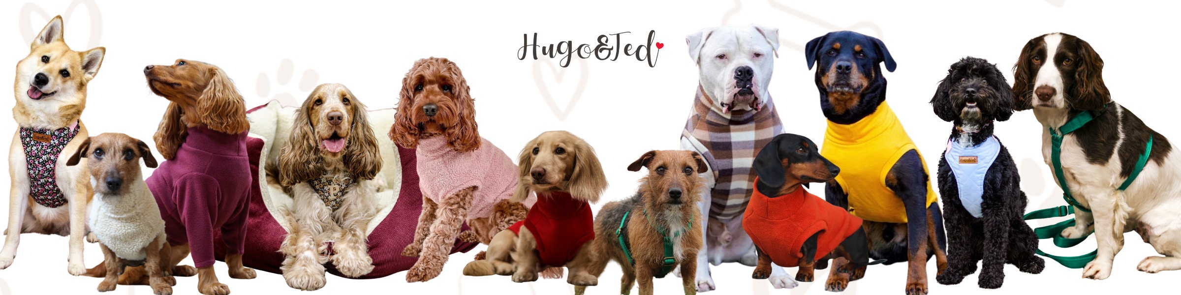 HugoAndTed Etsy Canada