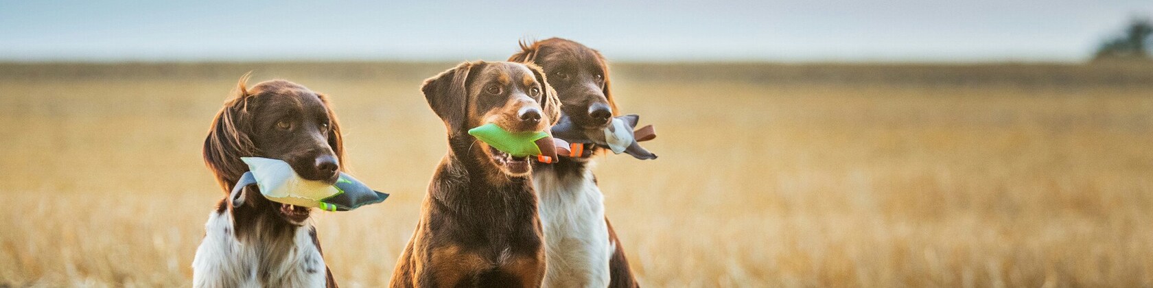 Hundespielzeug Apportel Jagd Hund Pet Toy von MIKAsWALDFREUNDE