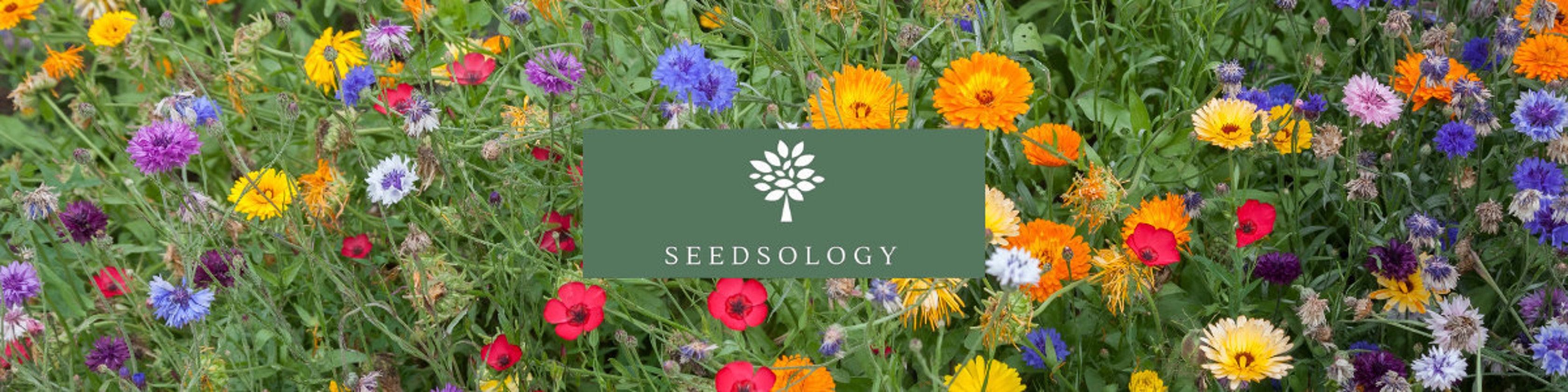 Wildflower and Cottage Garden Flower Seeds by Seedsology on Etsy