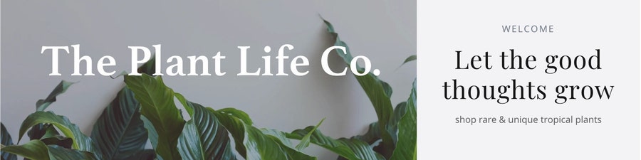 Rare & Unique Tropical Plants by ThePlantLifeCo on Etsy
