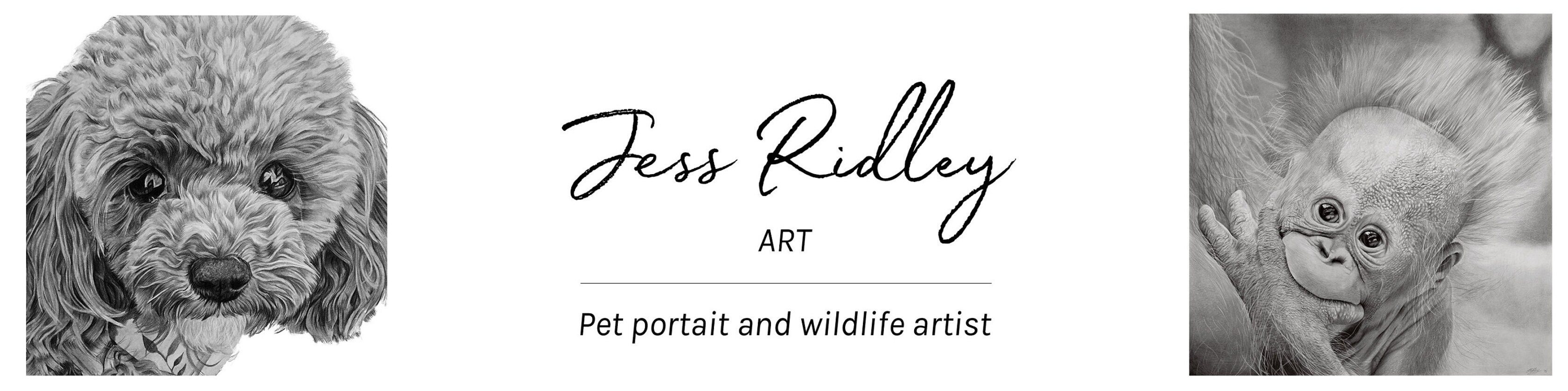 JessRidleyArt - Etsy UK