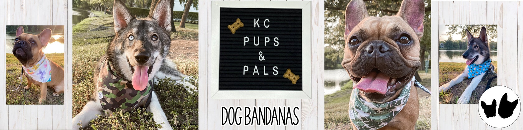 Kansas City Royals Dog Jerseys, Royals Pet Carriers, Harness, Bandanas,  Leashes
